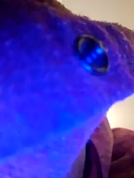 Armyexhibitionistvet online show from 09-09-25, 08:58