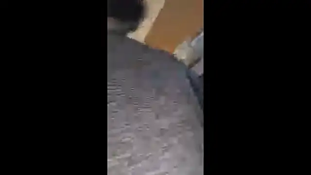 Armyexhibitionistvet online show from 10-20-25, 08:15