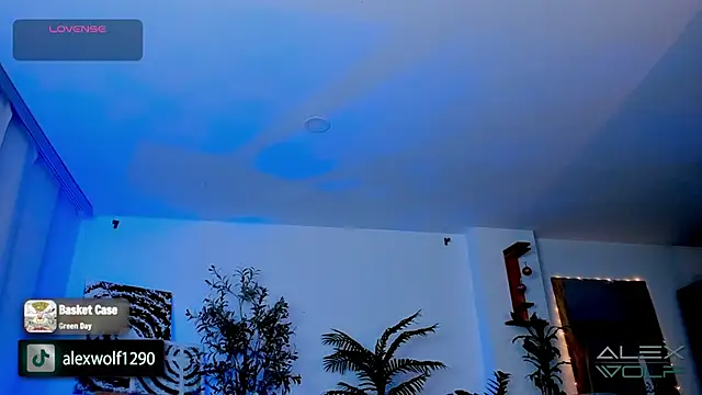 alex wolf  online show from 01-17-25, 05:21