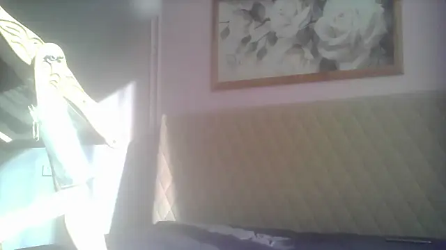 Snapshot of SunElizabeth chatting on 06-12-26, 02:43 SunElizabeth online show from 06-12-26, 02:43