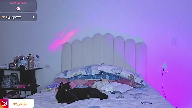 charlotte 002 online show from 03-16-26, 11:09