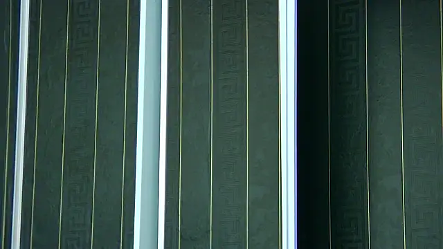 SophiaVilner online show from 04-08-26, 06:52