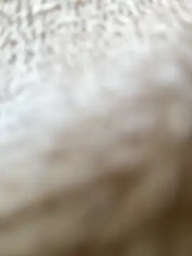 RiriRoseey online show from 04-05-26, 07:49