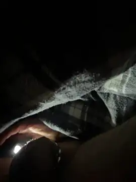 Shyboy817 online show from 03-11-26, 04:18