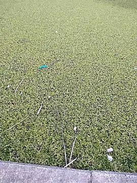 Eduardoxxx51 online show from 12-03-25, 10:19