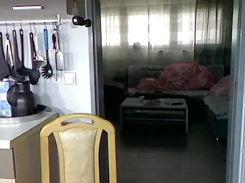 Snapshot of pimmelmann3 chatting on 11-15-25, 11:40 pimmelmann3 online show from 11-15-25, 11:40