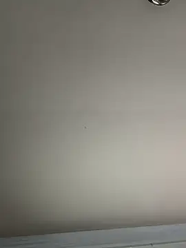 El Gizmo online show from 01-08-25, 07:24