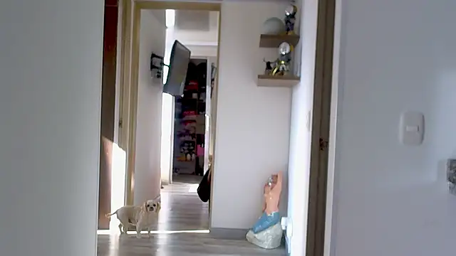 Snapshot of adan_eva960 chatting on 09-09-25, 12:59 adan eva960 online show from 09-09-25, 12:59