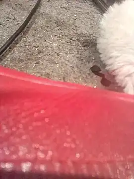 lubme online show from 10-07-25, 08:00