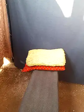 Burhade-- online show from 10-12-25, 11:31