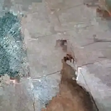 jockey2051992 online show from 04-13-26, 02:50