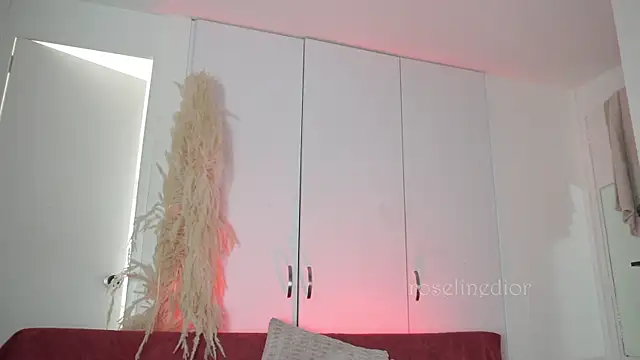 roselinedior online show from 11-10-25, 04:17