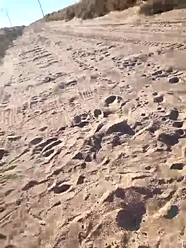 Snapshot of prettyboi6992 chatting on 03-01-26, 11:51 prettyboi6992 online show from 03-01-26, 11:51