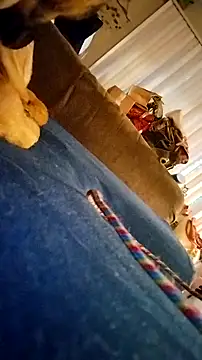 Snapshot of fukurbutt chatting on 02-19-26, 03:41 fukurbutt online show from 02-19-26, 03:41