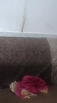 Aaradhya online show from 02-24-25, 03:33