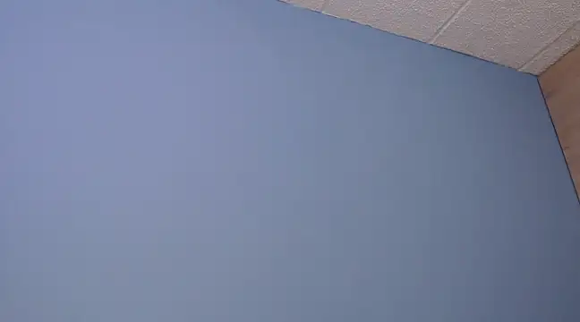 Snapshot of Lilly_macflyy chatting on 12-18-24, 08:03 Lilly macflyy online show from 12-18-24, 08:03