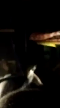 findmemylove online show from 01-07-25, 07:06