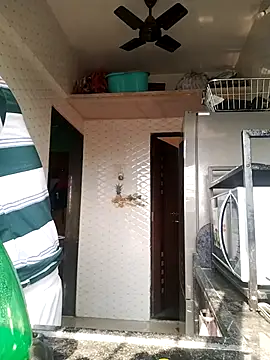 findmemylove online show from 11-11-25, 09:31