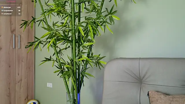 were-Naughty online show from 02-27-25, 11:15