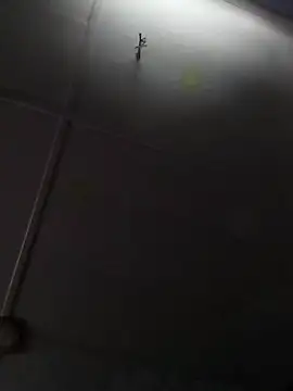 beelzebubblesxo online show from 01-09-26, 02:42