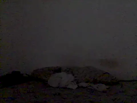 Snapshot of mariy_ chatting on 03-03-25, 09:48 mariy online show from 03-03-25, 09:48