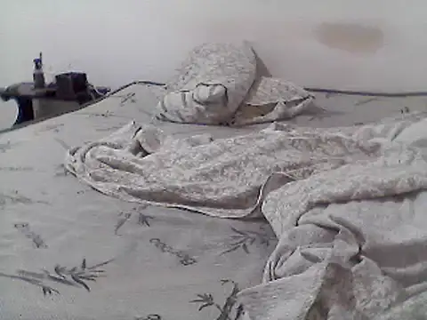 Snapshot of mariy_ chatting on 03-11-25, 01:05 mariy online show from 03-11-25, 01:05