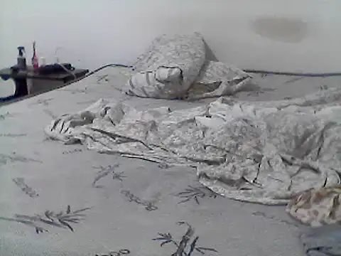 Snapshot of mariy_ chatting on 03-11-25, 04:10 mariy online show from 03-11-25, 04:10