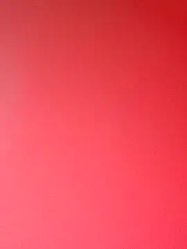 zhenzhen521 online show from 02-01-26, 02:48