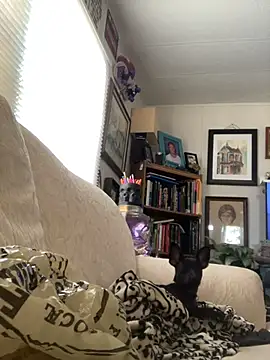BobbyQ29 online show from 06-19-26, 12:15