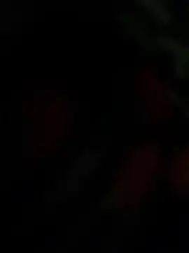 THE-LOVE-BOY online show from 04-25-26, 04:26