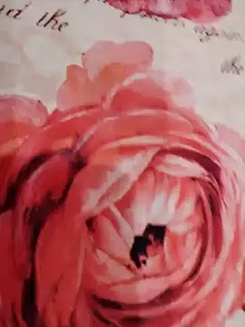 xxcatwomanxx online show from 01-31-25, 06:03