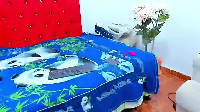 big-dicktop23 online show from 12-12-24, 05:04