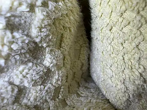 Amarok39 online show from 02-13-25, 12:54