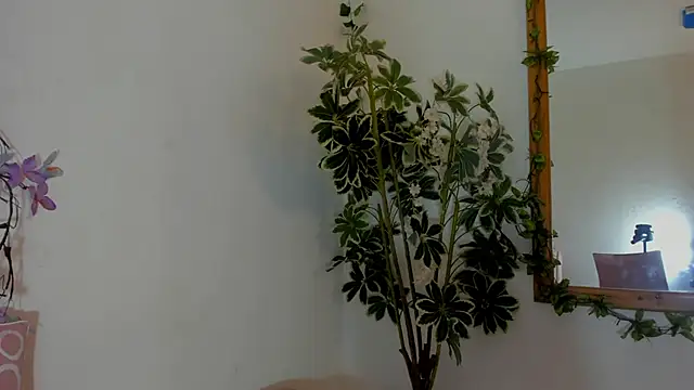 FaloonRoussel online show from 06-22-26, 06:27