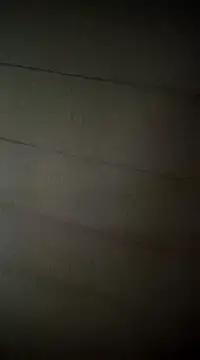 poussychats online show from 02-16-25, 05:04