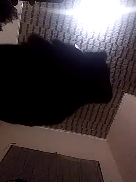 Blackpenis28 online show from 05-02-26, 01:54