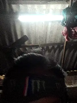 Snapshot of HotSexyBoudi chatting on 01-12-25, 08:57 HotSexyBoudi online show from 01-12-25, 08:57