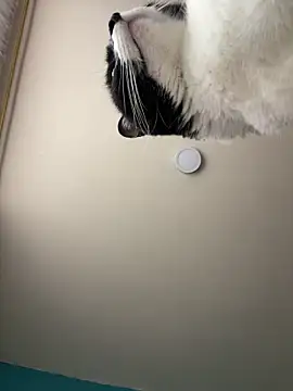 Kimmymadison- online show from 01-15-26, 09:07