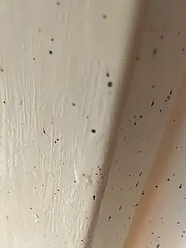 camila picante online show from 04-04-26, 02:47