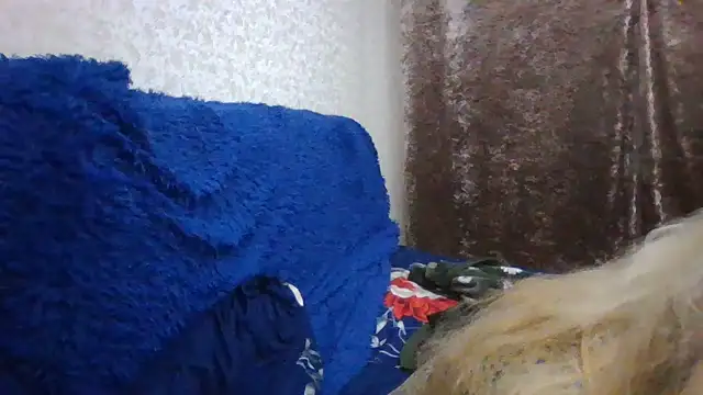 Snapshot of CarlyTreat chatting on 11-30-25, 04:00 CarlyTreat online show from 11-30-25, 04:00