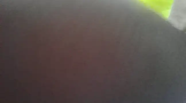 Snapshot of Chitrani- chatting on 01-16-25, 09:37 Chitrani- online show from 01-16-25, 09:37