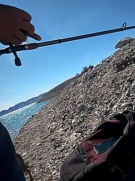 FloppyPickle4u online show from 03-04-25, 07:43