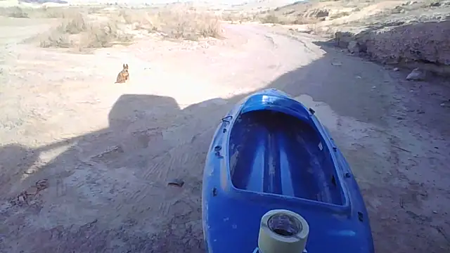 FloppyPickle4u online show from 12-20-25, 10:39