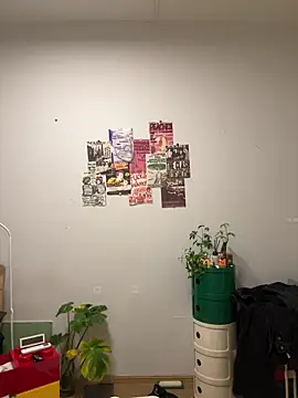 Eric246 online show from 04-01-26, 01:41