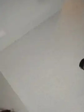 xWhoreAbleX Pika online show from 11-30-25, 03:16