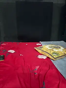 Magical-Couple-telugu online show from 10-25-25, 02:02