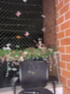 ValerieHilton online show from 01-12-25, 12:18