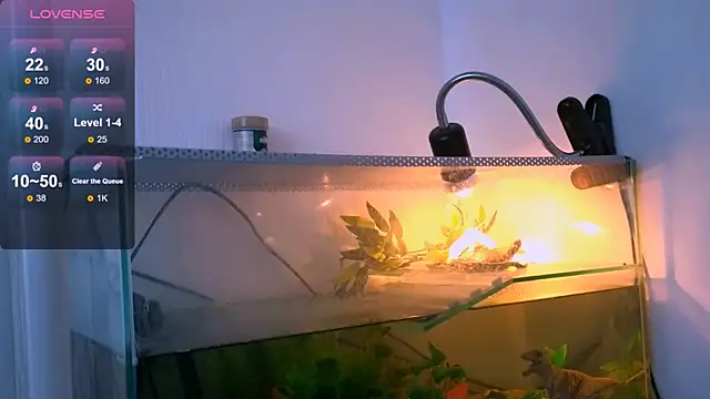 Britney Lynch online show from 04-21-26, 02:51