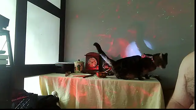 SexWorkerX online show from 12-20-25, 02:46