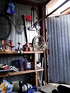 Sarpe84 online show from 12-22-24, 02:16